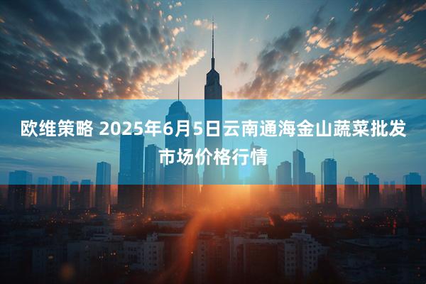 欧维策略 2025年6月5日云南通海金山蔬菜批发市场价格行情