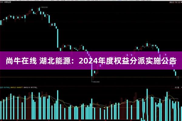 尚牛在线 湖北能源：2024年度权益分派实施公告
