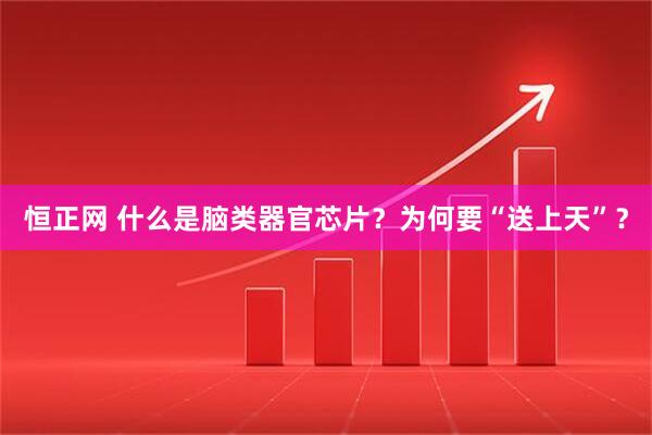 恒正网 什么是脑类器官芯片？为何要“送上天”？