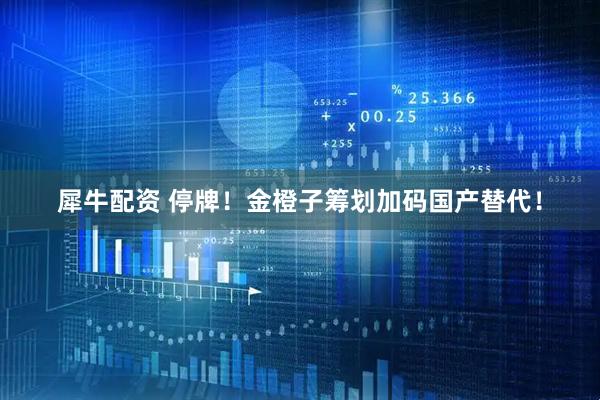 犀牛配资 停牌！金橙子筹划加码国产替代！