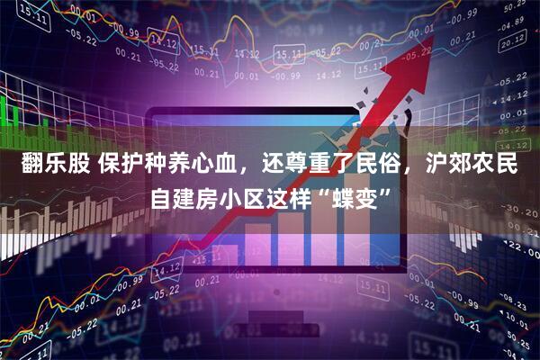翻乐股 保护种养心血，还尊重了民俗，沪郊农民自建房小区这样“蝶变”