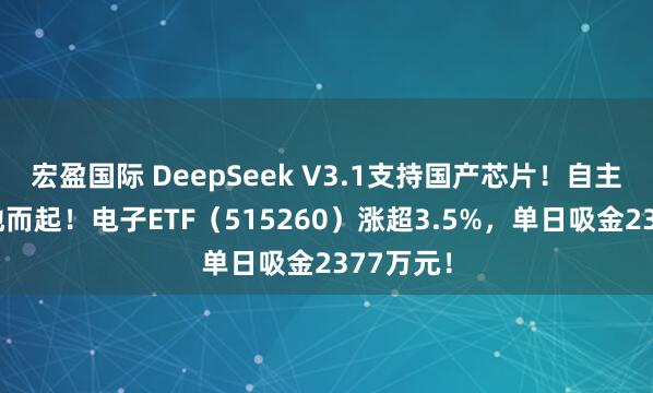 宏盈国际 DeepSeek V3.1支持国产芯片！自主可控拔地而起！电子ETF（515260）涨超3.5%，单日吸金2377万元！