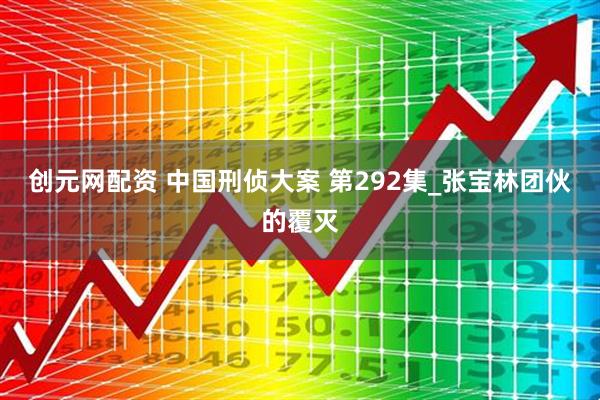 创元网配资 中国刑侦大案 第292集_张宝林团伙的覆灭