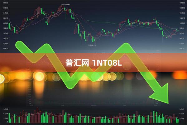 普汇网 1NT08L