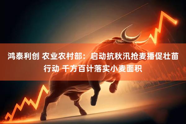 鸿泰利创 农业农村部：启动抗秋汛抢麦播促壮苗行动 千方百计落实小麦面积